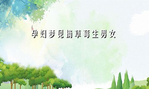 孕妇梦见摘草莓生男女