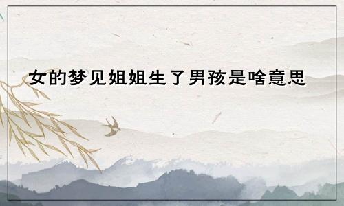 女的梦见姐姐生了男孩是啥意思