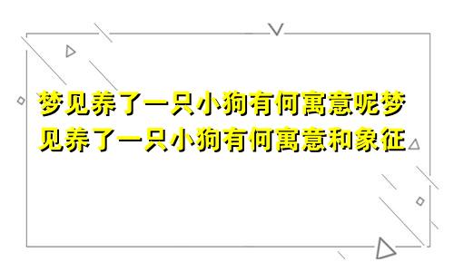 梦见养了一只小狗有何寓意呢梦见养了一只小狗有何寓意和象征