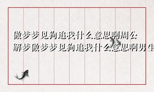 做梦梦见狗追我什么意思啊周公解梦做梦梦见狗追我什么意思啊男生