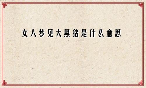 女人梦见大黑猪是什么意思