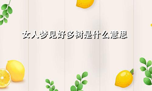 女人梦见好多树是什么意思