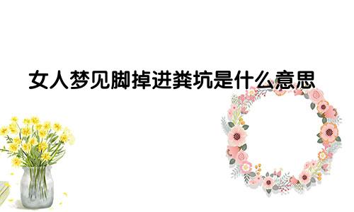 女人梦见脚掉进粪坑是什么意思