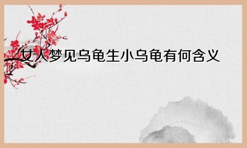 女人梦见乌龟生小乌龟有何含义