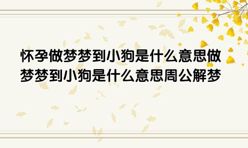 怀孕做梦梦到小狗是什么意思做梦梦到小狗是什么意思周公解梦