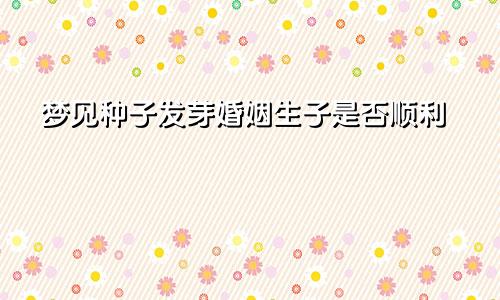 梦见种子发芽婚姻生子是否顺利