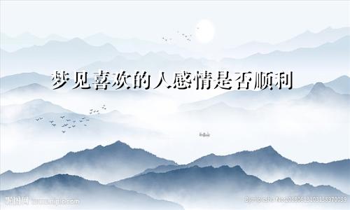 梦见喜欢的人感情是否顺利