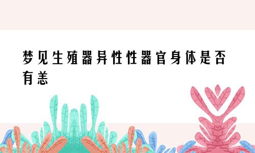梦见生殖器异性性器官身体是否有恙
