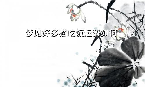 梦见好多猫吃饭运势如何