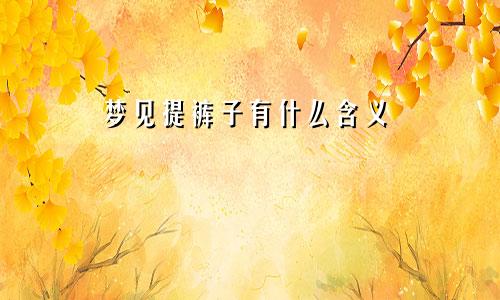 梦见提裤子有什么含义