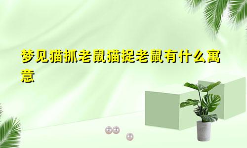 梦见猫抓老鼠猫捉老鼠有什么寓意