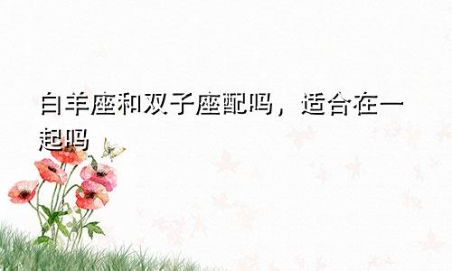 白羊座和双子座配吗,适合在一起吗