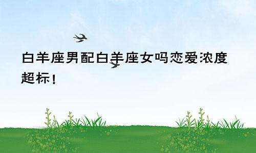 白羊座男配白羊座女吗恋爱浓度超标!