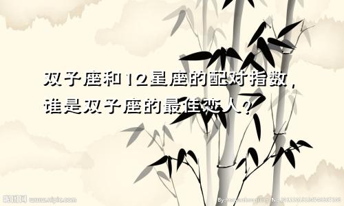 双子座和12星座的配对指数,谁是双子座的最佳恋人?