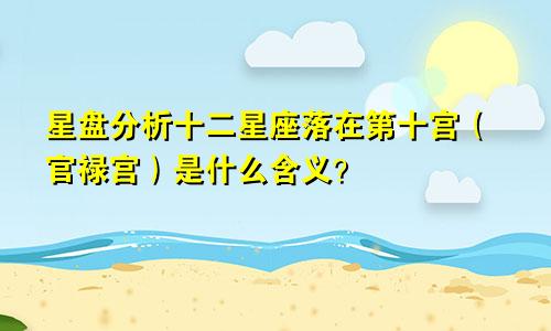 星盘分析十二星座落在第十宫（官禄宫）是什么含义？
