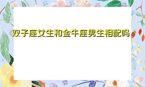 双子座女生和金牛座男生相配吗