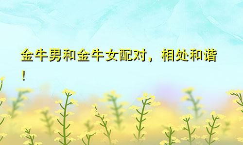 金牛男和金牛女配对，相处和谐！