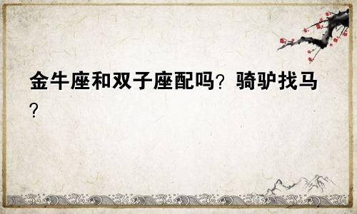 金牛座和双子座配吗?骑驴找马?