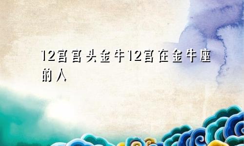 12宫宫头金牛12宫在金牛座的人
