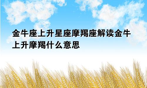 金牛座上升星座摩羯座解读金牛上升摩羯什么意思