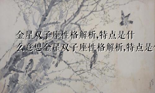 金星双子座性格解析,特点是什么意思金星双子座性格解析,特点是什么呢
