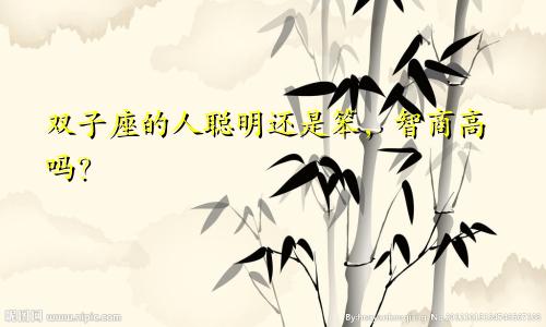 双子座的人聪明还是笨,智商高吗?