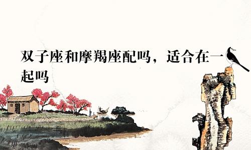 双子座和摩羯座配吗,适合在一起吗