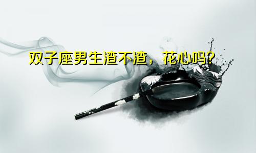 双子座男生渣不渣,花心吗?