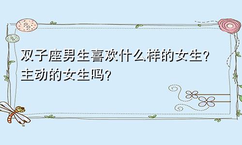 双子座男生喜欢什么样的女生?主动的女生吗?