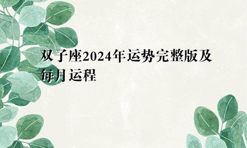 双子座2024年运势完整版及每月运程