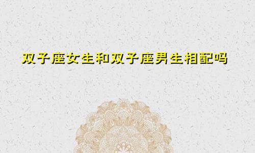 双子座女生和双子座男生相配吗