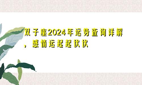 双子座2024年运势查询详解，感情运起起伏伏
