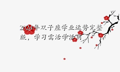 2024年双子座学业运势完整版,学习需活学活用