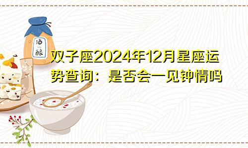 双子座2024年12月星座运势查询:是否会一见钟情吗