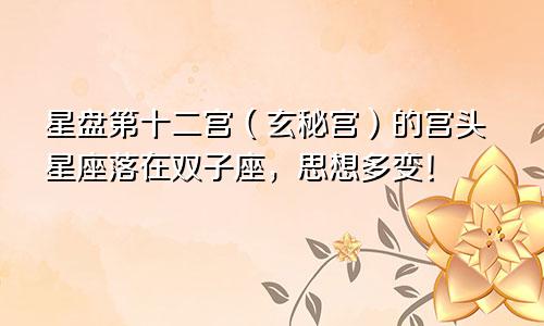 星盘第十二宫（玄秘宫）的宫头星座落在双子座，思想多变！