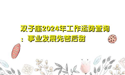 双子座2024年工作运势查询:事业发展先苦后甜
