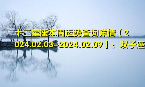 十二星座本周运势查询详情【2024.02.03-2024.02.09】:双子座桃花运旺盛