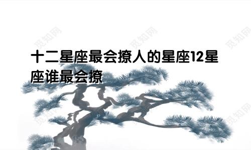 十二星座最会撩人的星座12星座谁最会撩