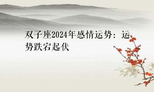 双子座2024年感情运势:运势跌宕起伏