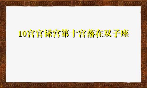 10宫官禄宫第十宫落在双子座