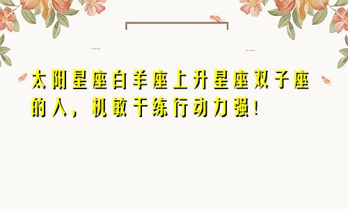 太阳星座白羊座上升星座双子座的人,机敏干练行动力强!