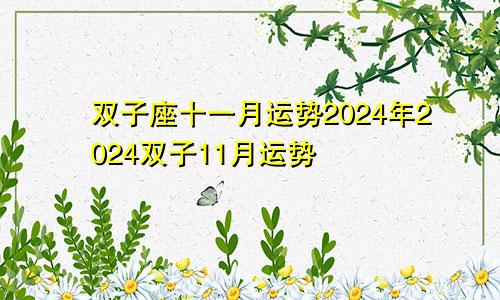 双子座十一月运势2024年2024双子11月运势