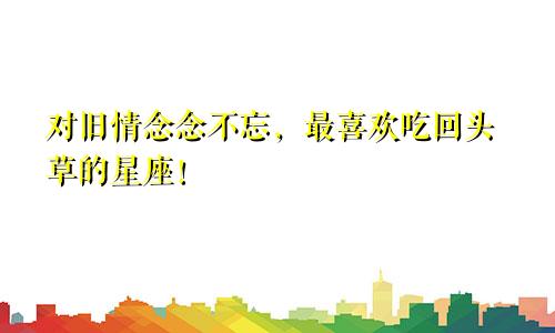 对旧情念念不忘，最喜欢吃回头草的星座！