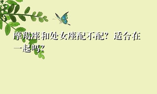 摩羯座和处女座配不配?适合在一起吗?