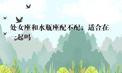 处女座和水瓶座配不配,适合在一起吗