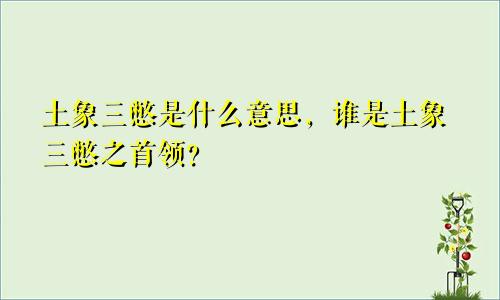 土象三憋是什么意思，谁是土象三憋之首领？