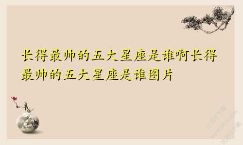 长得最帅的五大星座是谁啊长得最帅的五大星座是谁图片
