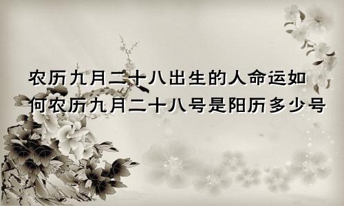 农历九月二十八出生的人命运如何农历九月二十八号是阳历多少号