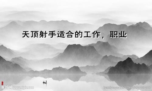 天顶射手适合的工作,职业