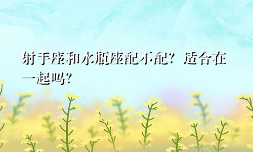 射手座和水瓶座配不配？适合在一起吗？